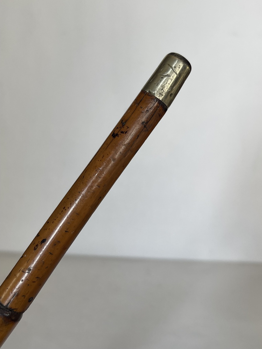 Canne fusil sarbacane -photo-5